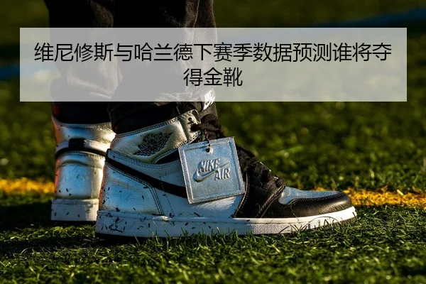 维尼修斯与哈兰德下赛季数据预测谁将夺得金靴